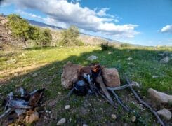 تصاویر بسیار زیبا از طبیعت اگره بید