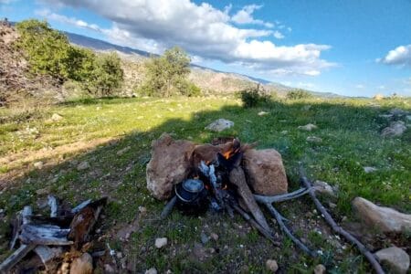 تصاویر بسیار زیبا از طبیعت اگره بید