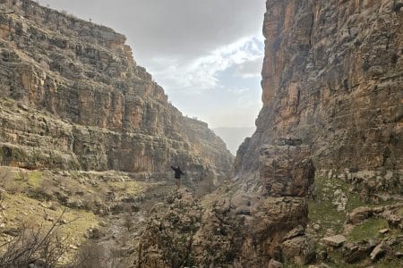 کاشت بلوط گامی برای احیای زاگرس