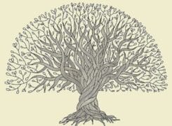 شجرنامه طایفه پیرانی